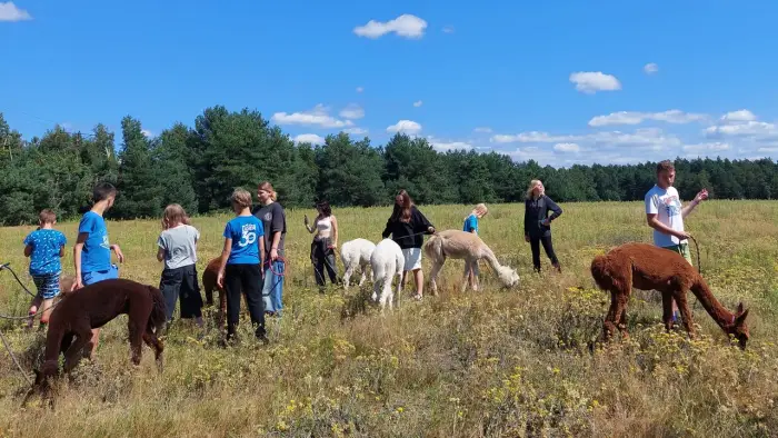 Uniejw - kolonia w krainie Pana Kleksa