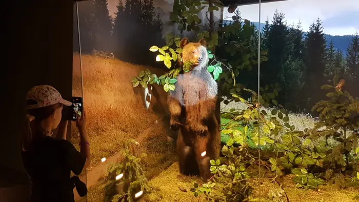 Zakopane - kolonie i obz Tatrzaskie Parki Wodne