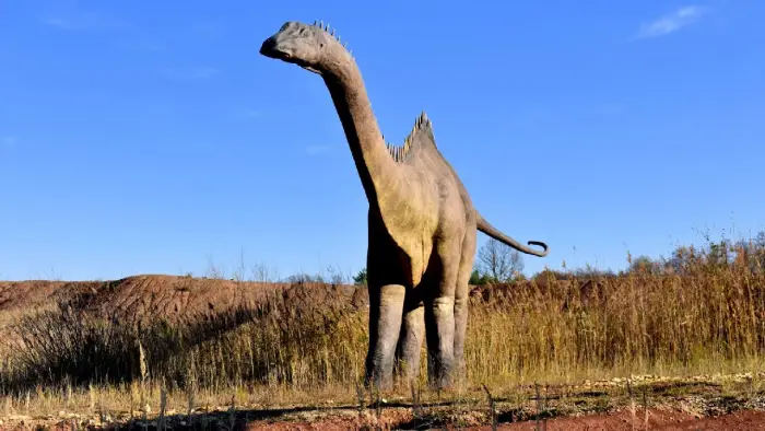 Krasiejw - obz wiat Przygd