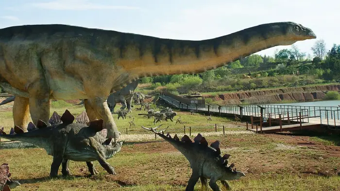 Krasiejw - obz wiat Przygd