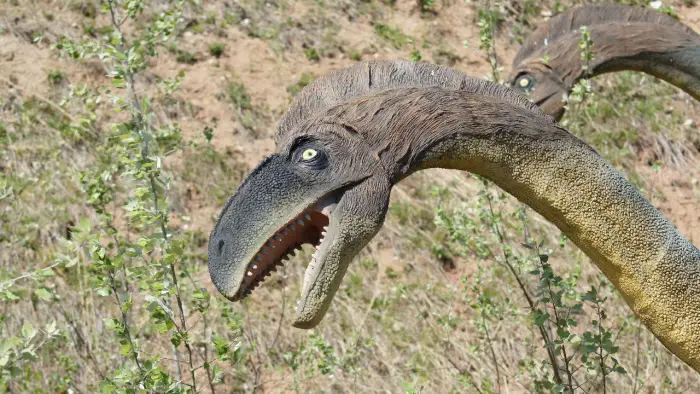 Krasiejw - obz wiat Przygd