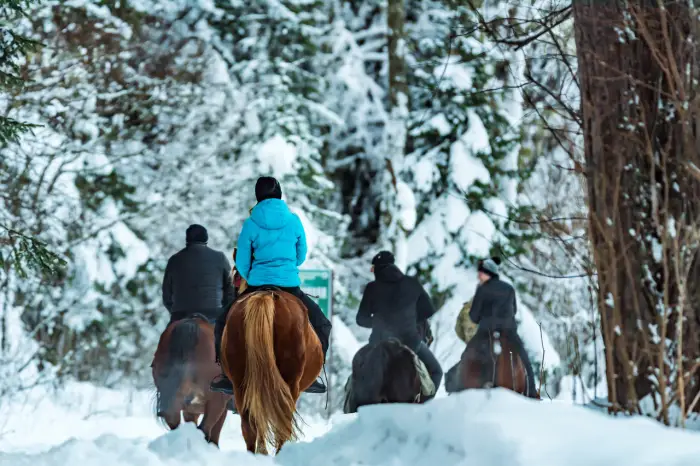 Gruzja - narty na Kaukazie - wylot z Warszawy, Gda�ska, Krakowa, Wroc�awia (skipass w cenie)