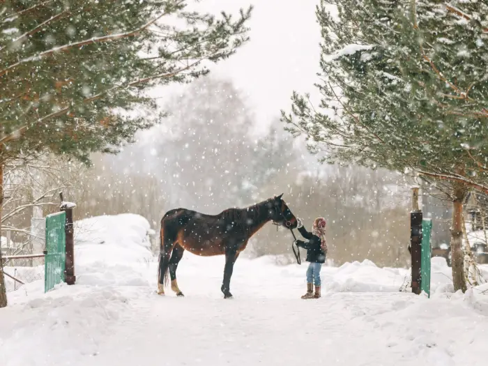 Brenna - ob�z je�dziecki