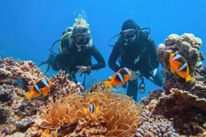 Egipt - Sharm el Sheikh - Hotel Regency Plaza Aqua Park& Spa ***** - wylot z Warszawy (all inclusive)