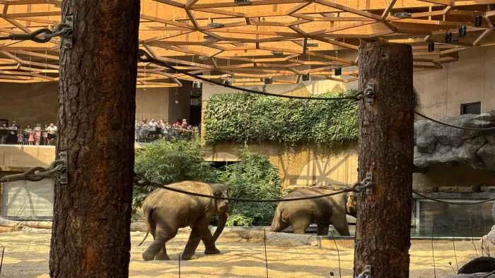 Grotniki - kolonia Mega Przyg�d