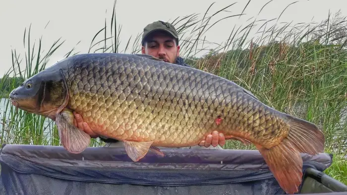 Borne Sulinowo - ob�z w�dkarski