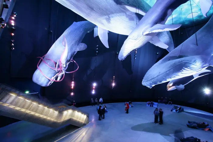 �winouj�cie: Chill SPOT