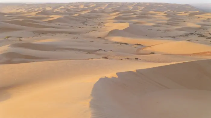Arabia Saudyjska, Kuwejt, Oman - Trzy oblicza P�wyspu Arabskiego