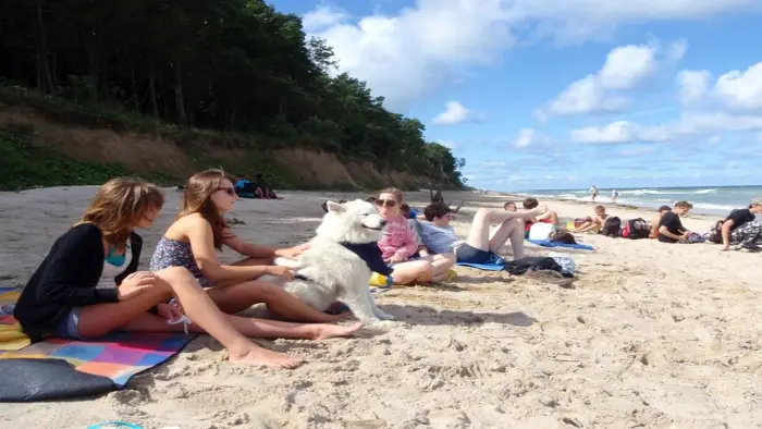 Dziwn�wek - kolonia i ob�z rekreacyjny