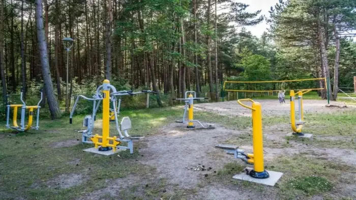 D�bki - ob�z japo�ski