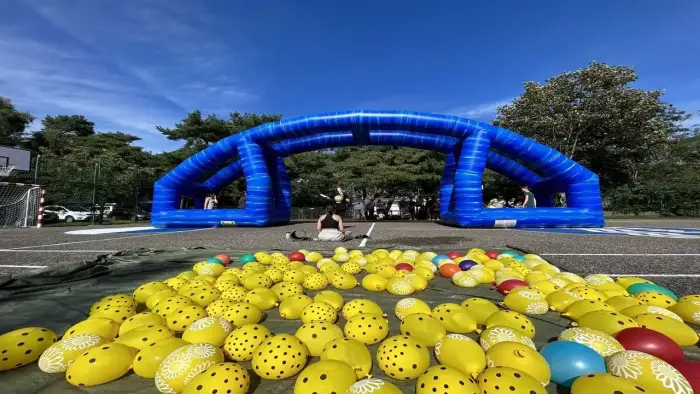 D�bki - ob�z japo�ski