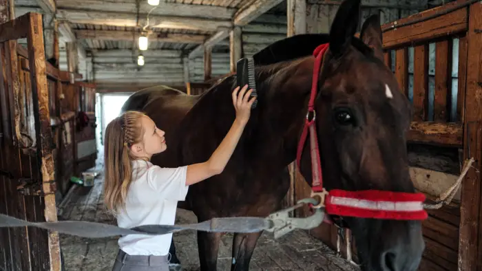 Brenna - ob�z jazdy konnej