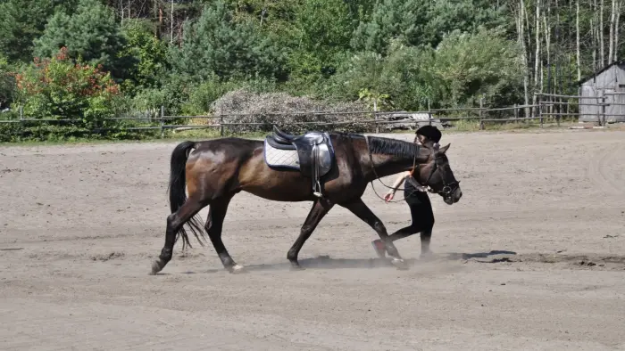 Jan�w Lubelski - ob�z konny