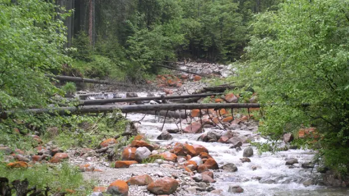 Bukowina Tatrza�ska - ob�z Adventure