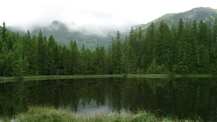 Bukowina Tatrza�ska - ob�z paintballowy