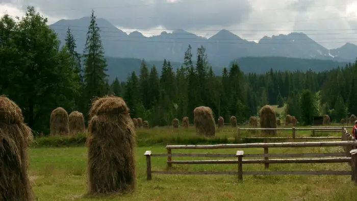 Bukowina Tatrza�ska - ob�z paintballowy