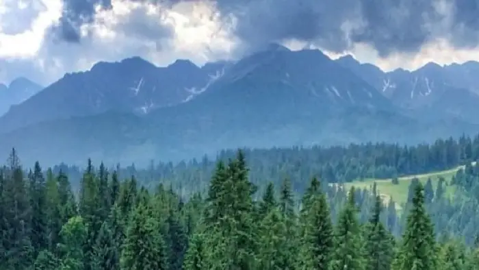 Bukowina Tatrza�ska - ob�z plener malarski