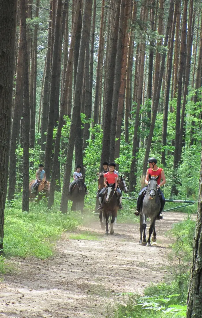 Jan�w Lubelski - ob�z konny