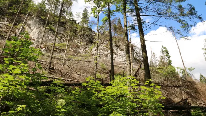 Murzasichle - ob�z Tatrza�skie Aquaparki