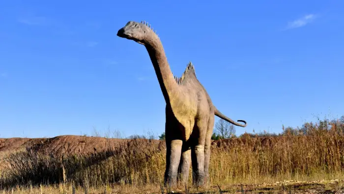 Krasiej�w - Klub Urwisa DinoCamp