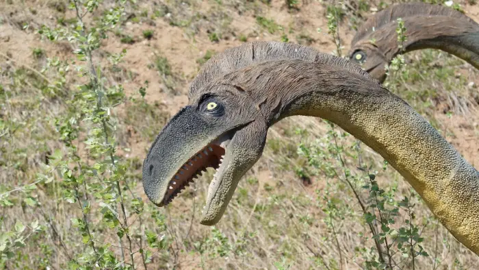 Krasiej�w - Klub Urwisa DinoCamp