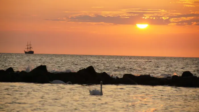 Dar��wko - ob�z j�zyka angielskiego