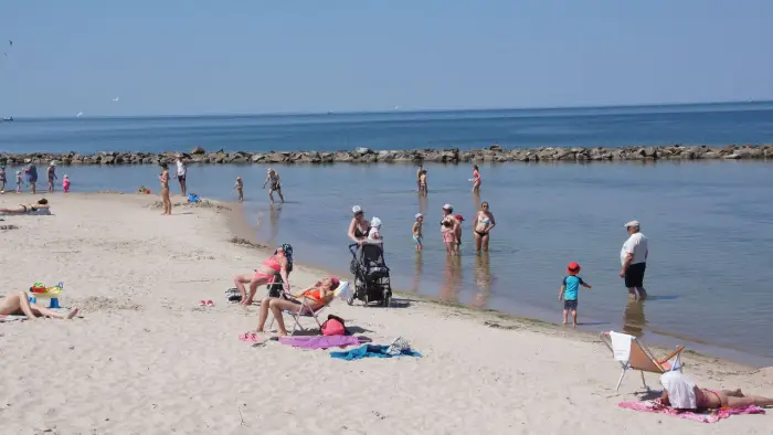 Dar��wko - ob�z j�zyka angielskiego