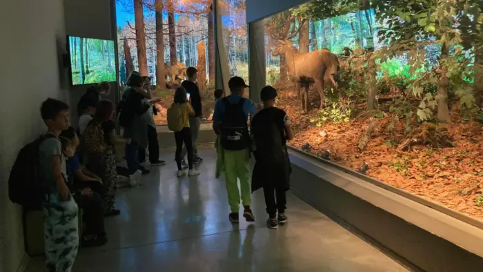 Zakopane - kolonie i ob�z Tatrza�skie Parki Wodne