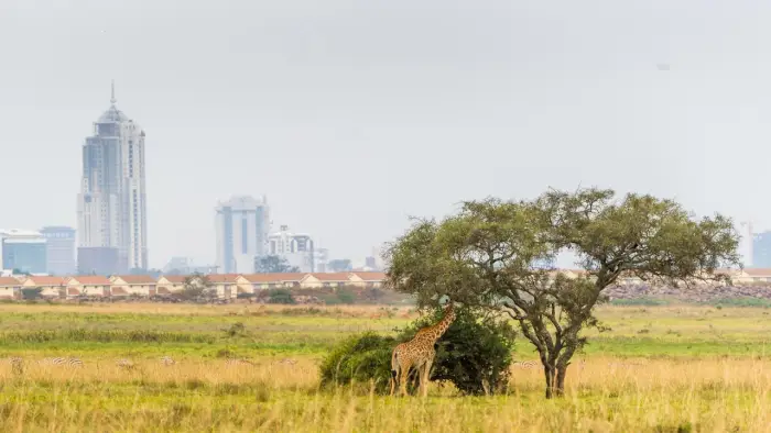 Etiopia, Uganda - Dwie per�y Afryki