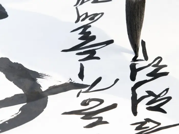 Cisna: Manga Otaku Japonia