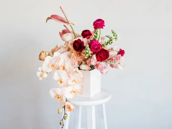 Cisna: Manga Otaku Japonia