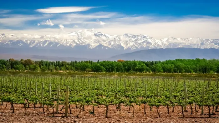 Chile, Argentyna, Urugwaj, Paragwaj, Brazylia - Pi�� kraj�w Ameryki Po�udniowej