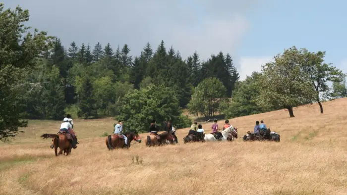 Opolszczyzna Bory Niemodli�skie - m�odzie�owy rajd konny