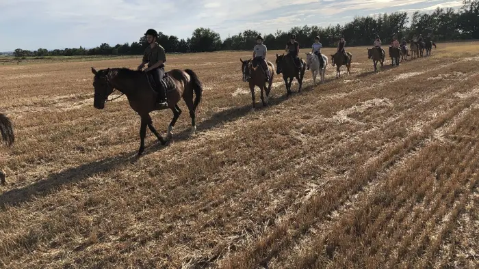 Opolszczyzna Bory Niemodli�skie - m�odzie�owy rajd konny