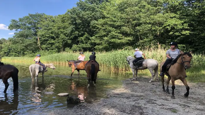 Opolszczyzna Bory Niemodli�skie - m�odzie�owy rajd konny