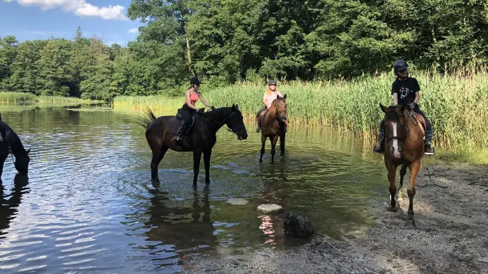 Opolszczyzna Bory Niemodli�skie - m�odzie�owy rajd konny