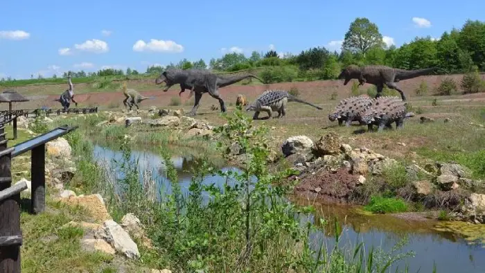 Krasiej�w - ob�z Dino Przygody