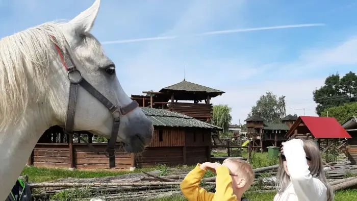 Przysiecz - kolonia rekreacyjna