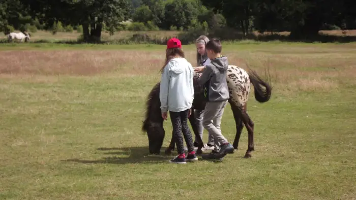 Przysiecz - kolonia rekreacyjna