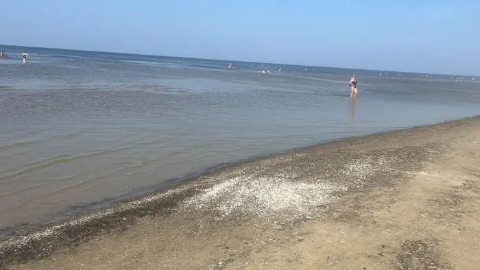 Litwa, �otwa, Estonia - Poznajemy nadba�tyckie stolice - ob�z rekreacja i zwiedzanie
