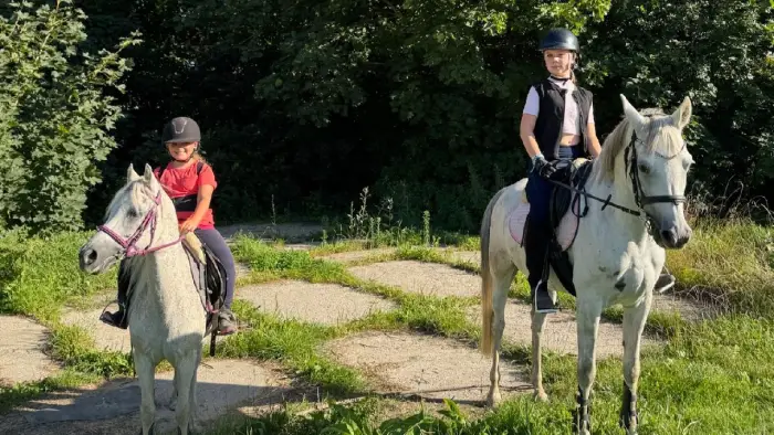 Zakrz�w - kurs jazdy konnej BASIC - Start w je�dziectwie
