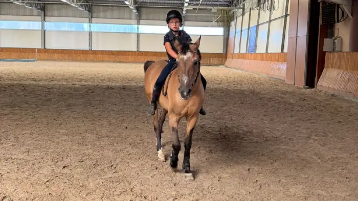 Zakrz�w - kurs jazdy konnej SPORT PRO - Indywidualny rozw�j je�dziecki