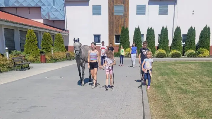 Zakrz�w - kurs jazdy konnej SPORT PRO - Indywidualny rozw�j je�dziecki